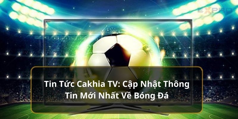 Người dùng có thể cập nhật thêm thông tin từ các bộ môn khác