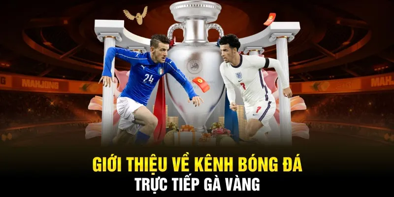 Giới thiệu về kênh bóng đá trực tiếp gà vàng