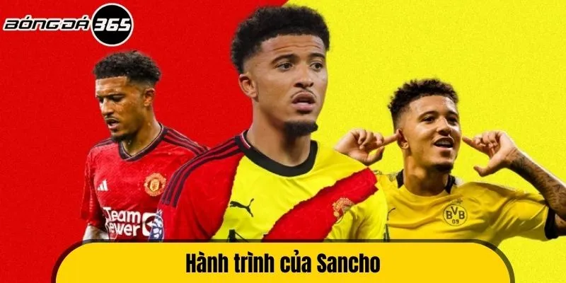 Hành trình của Sancho